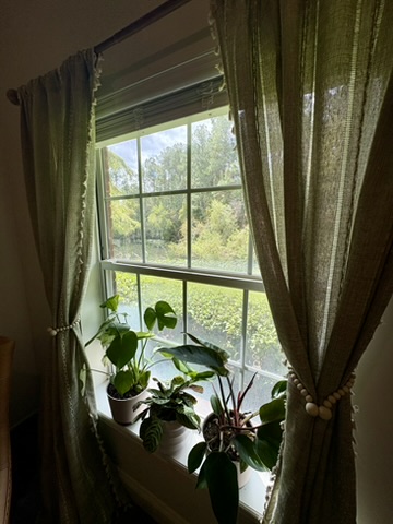 Back office with windows - view 1