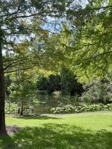 Beautiful pond view from back office